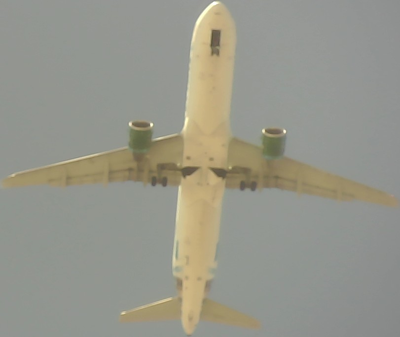 Airplane Picture