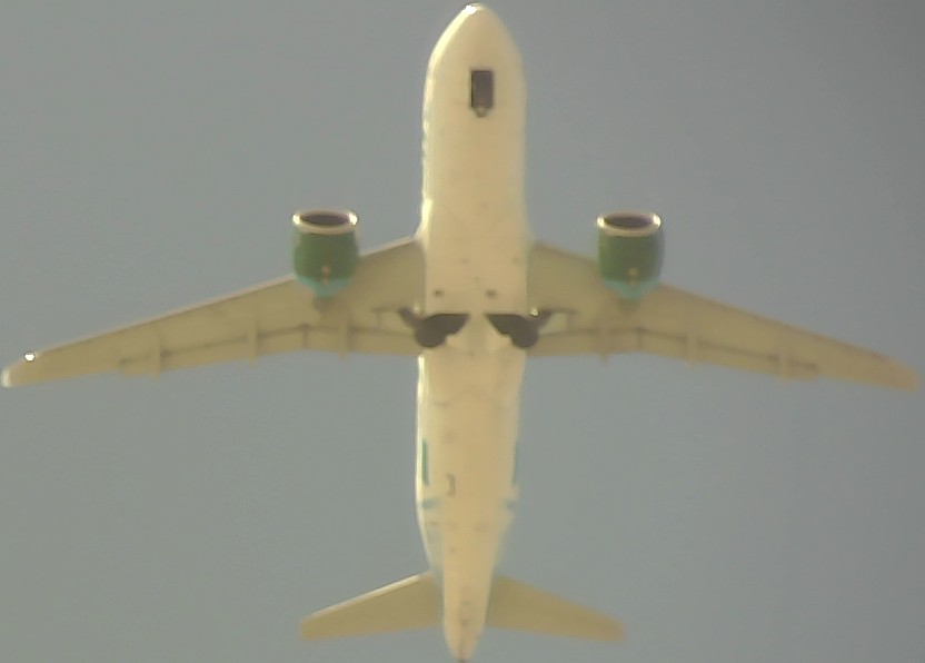 Airplane Picture