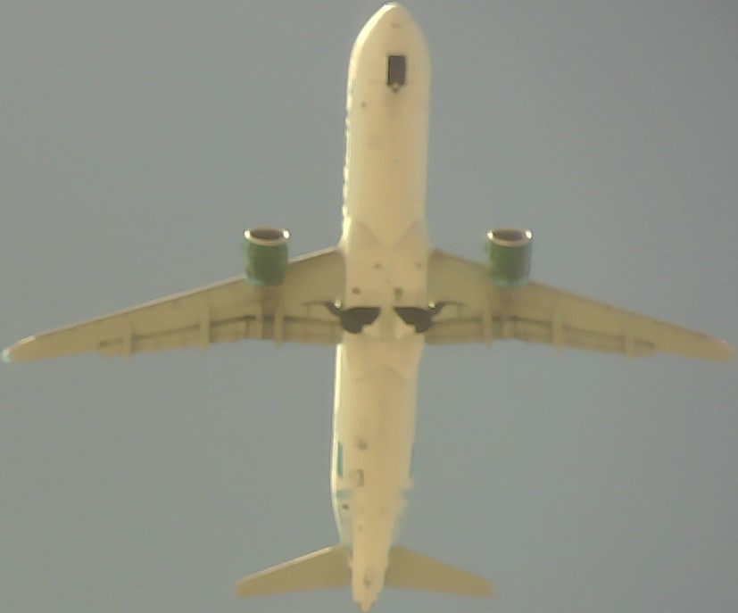 Airplane Picture