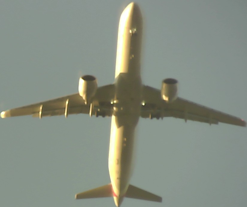 Airplane Picture
