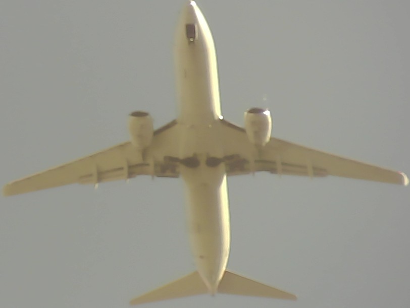 Airplane Picture