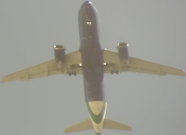 Airplane Picture