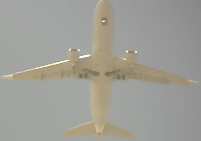 Airplane Picture