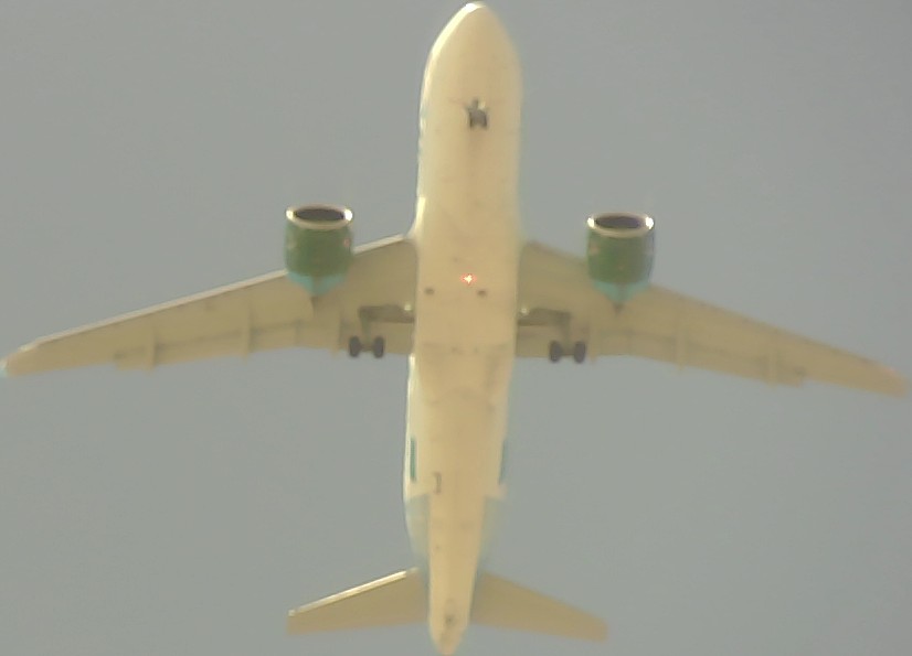 Airplane Picture