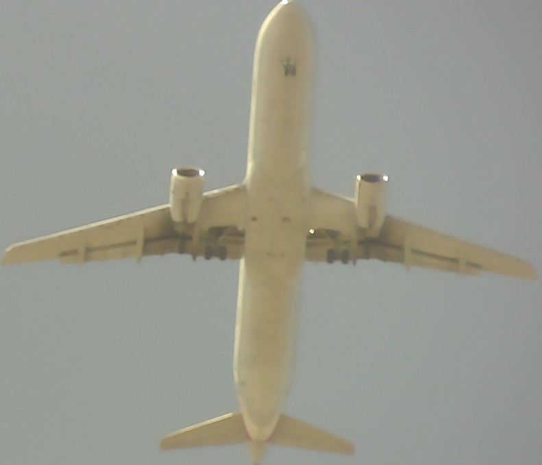 Airplane Picture
