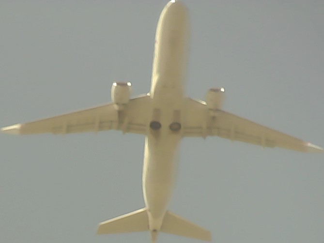 Airplane Picture