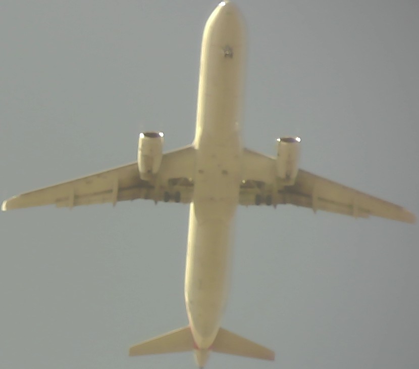 Airplane Picture