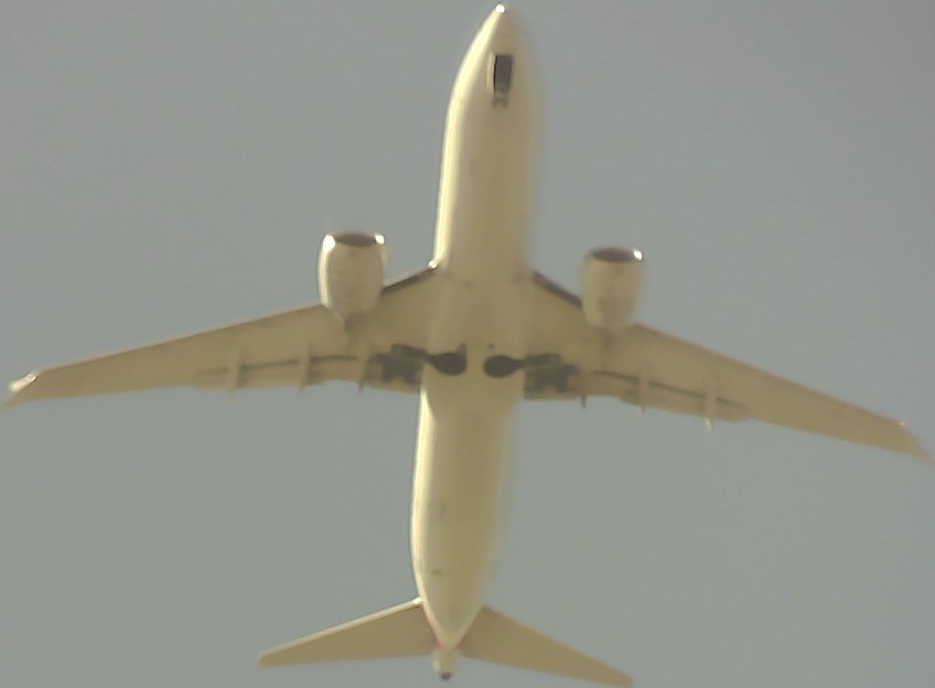 Airplane Picture