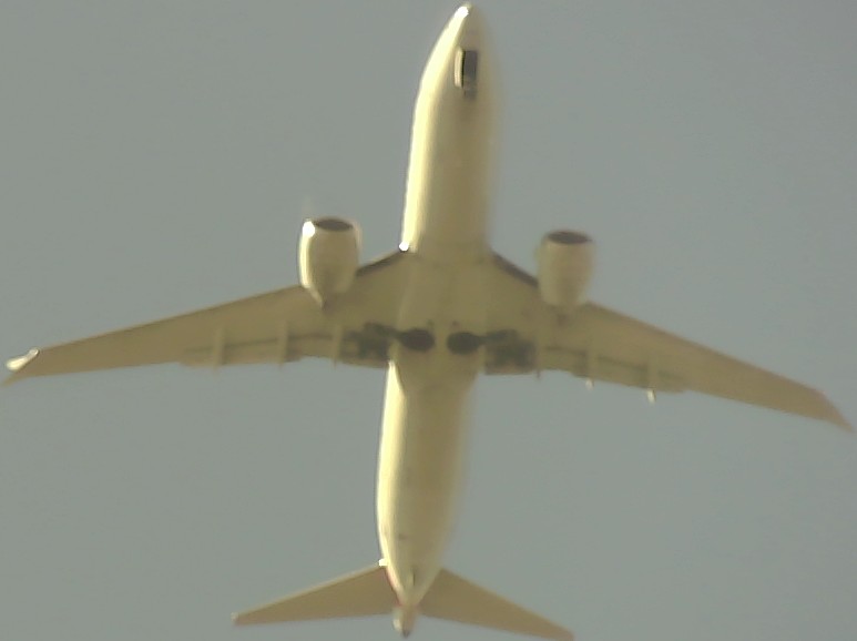 Airplane Picture