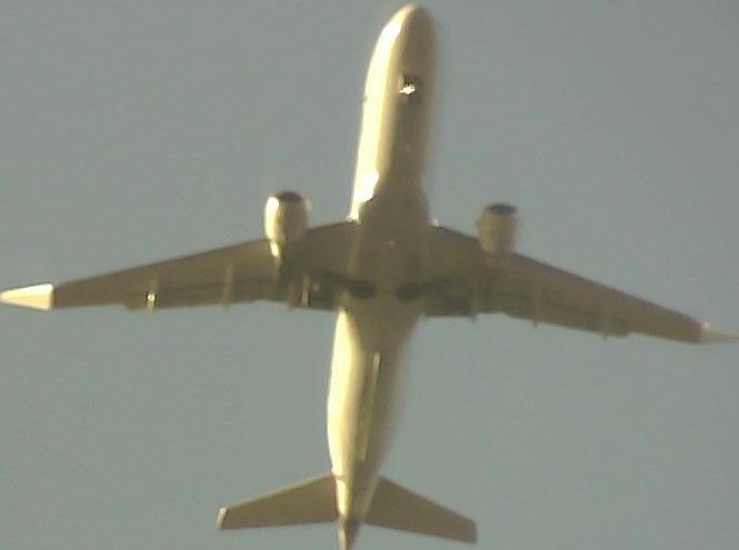 Airplane Picture