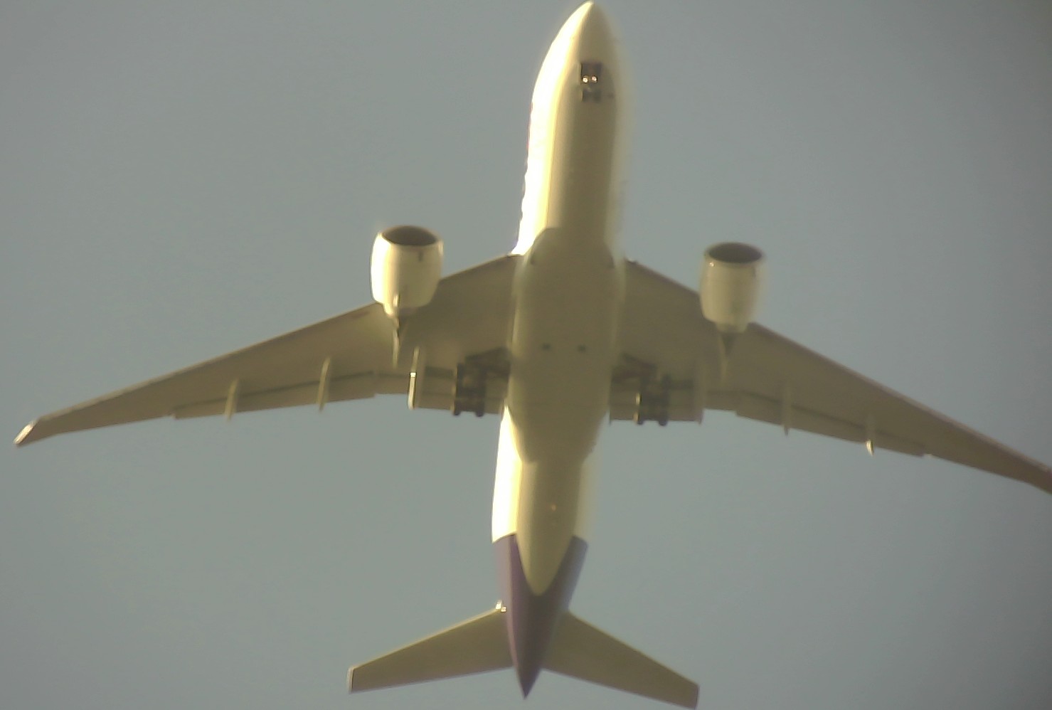 Airplane Picture