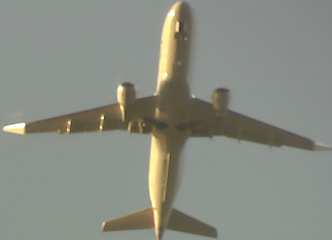 Airplane Picture