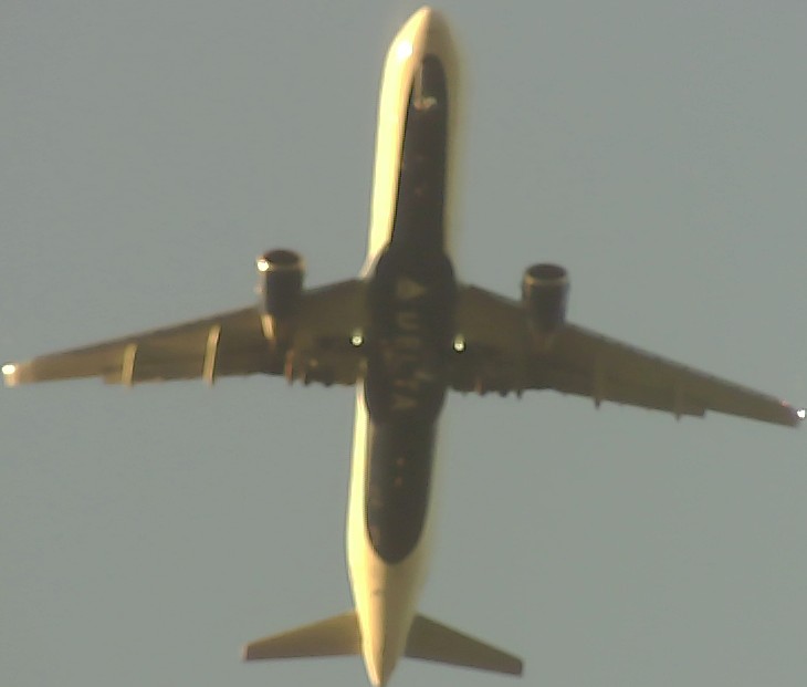 Airplane Picture