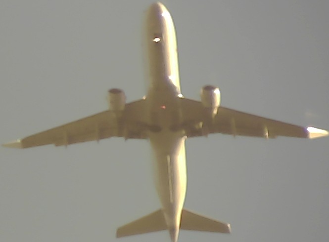 Airplane Picture