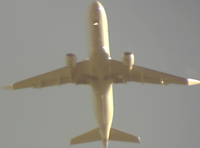 Airplane Picture