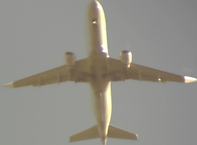 Airplane Picture