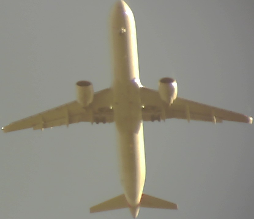 Airplane Picture
