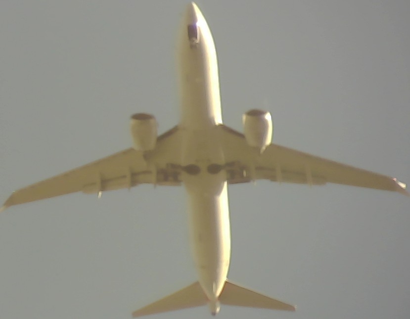Airplane Picture