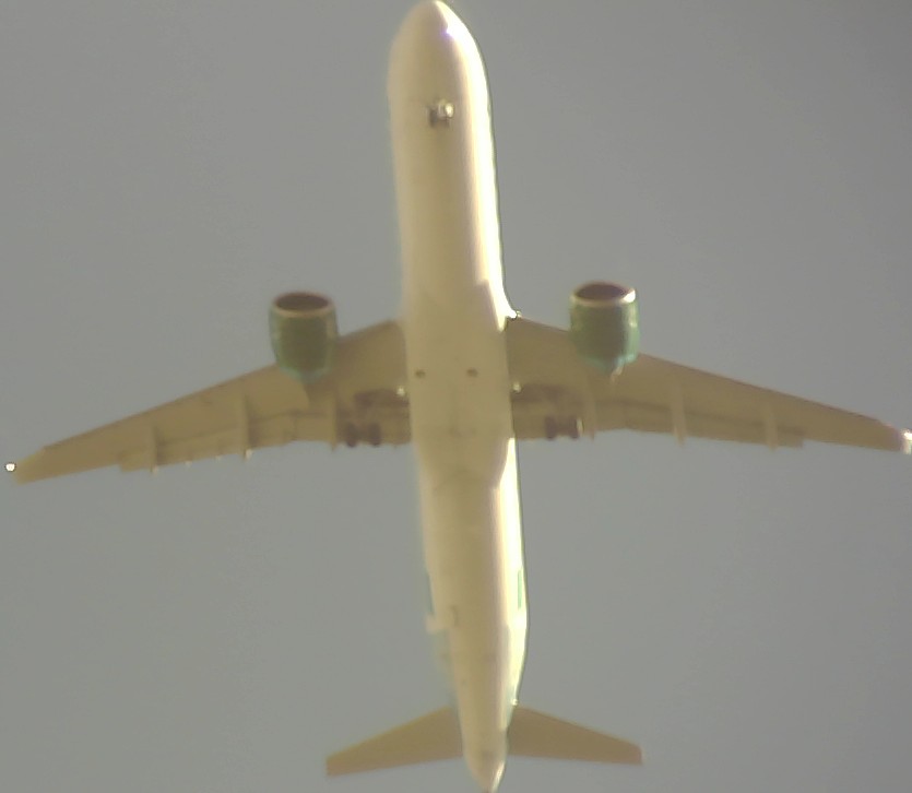Airplane Picture