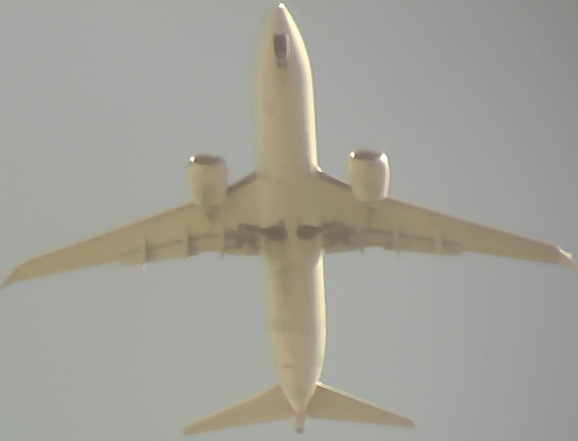 Airplane Picture