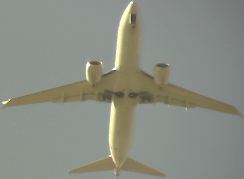 Airplane Picture