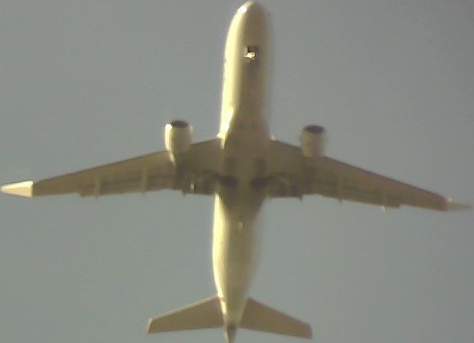Airplane Picture