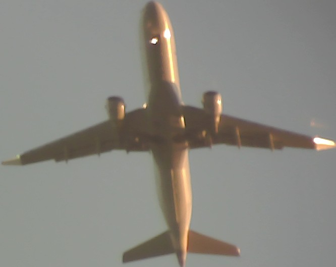 Airplane Picture