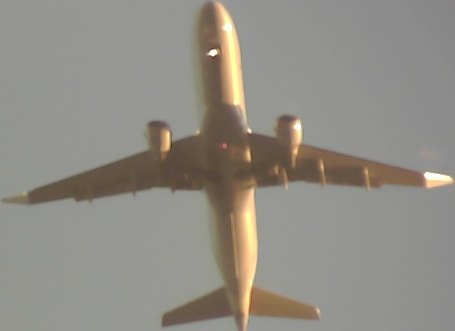 Airplane Picture