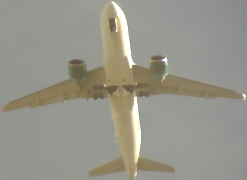 Airplane Picture