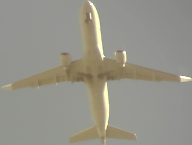 Airplane Picture