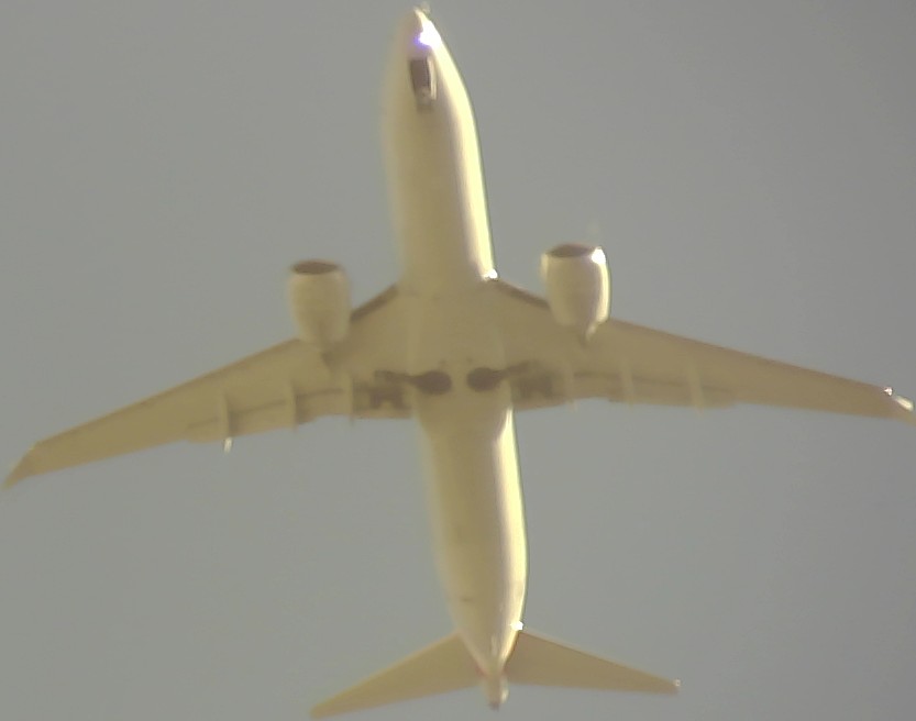 Airplane Picture