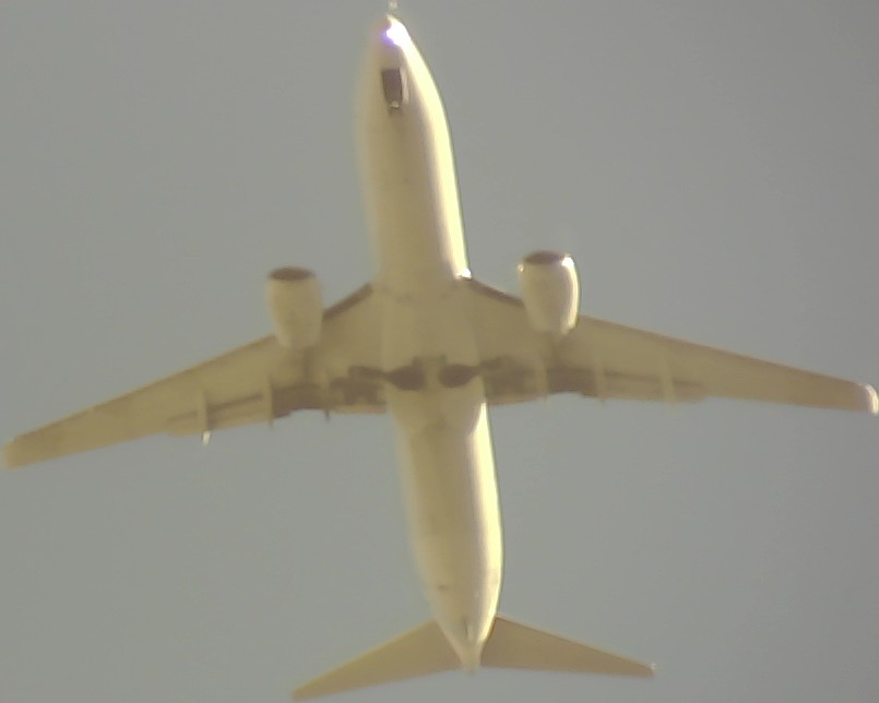 Airplane Picture