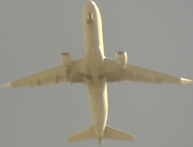 Airplane Picture