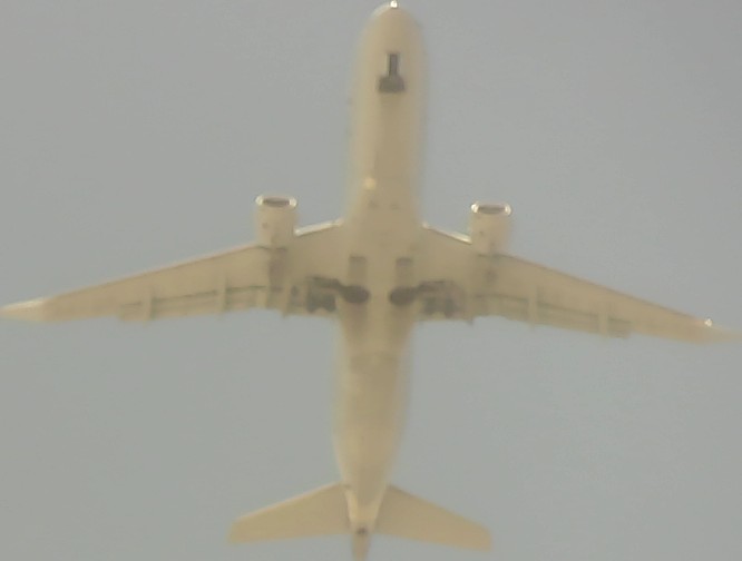 Airplane Picture