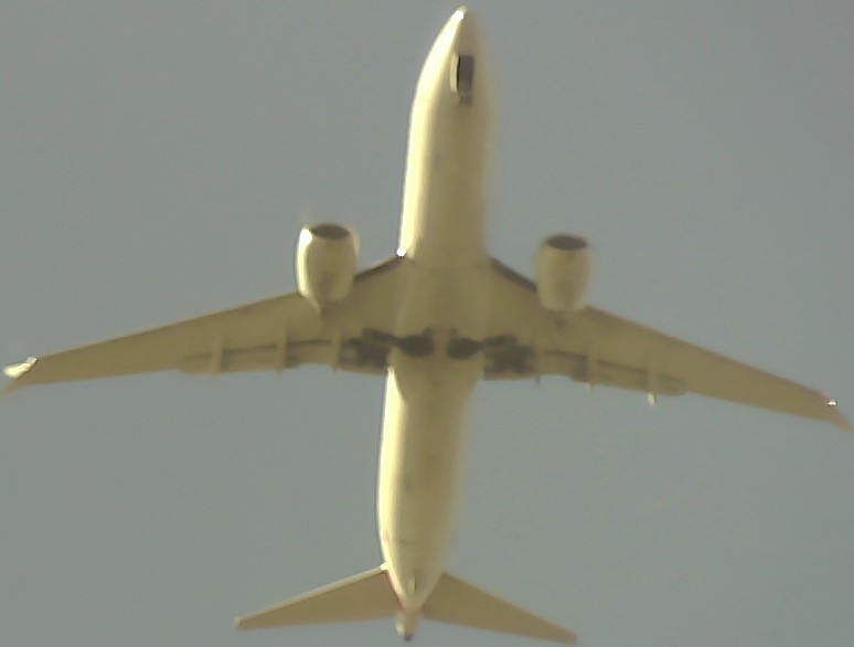 Airplane Picture