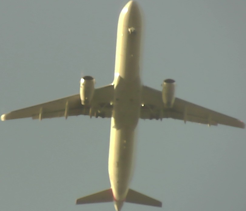 Airplane Picture