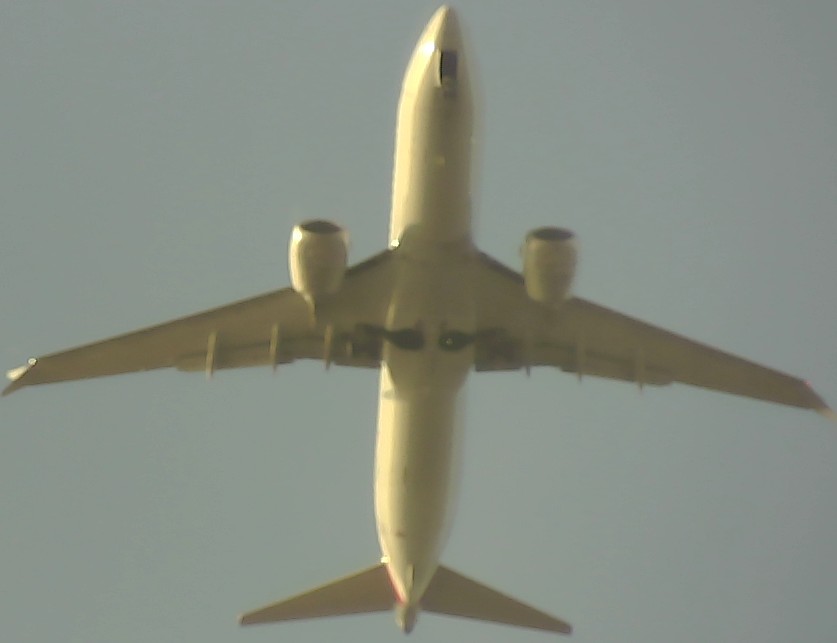 Airplane Picture
