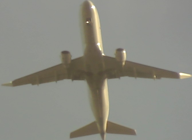 Airplane Picture