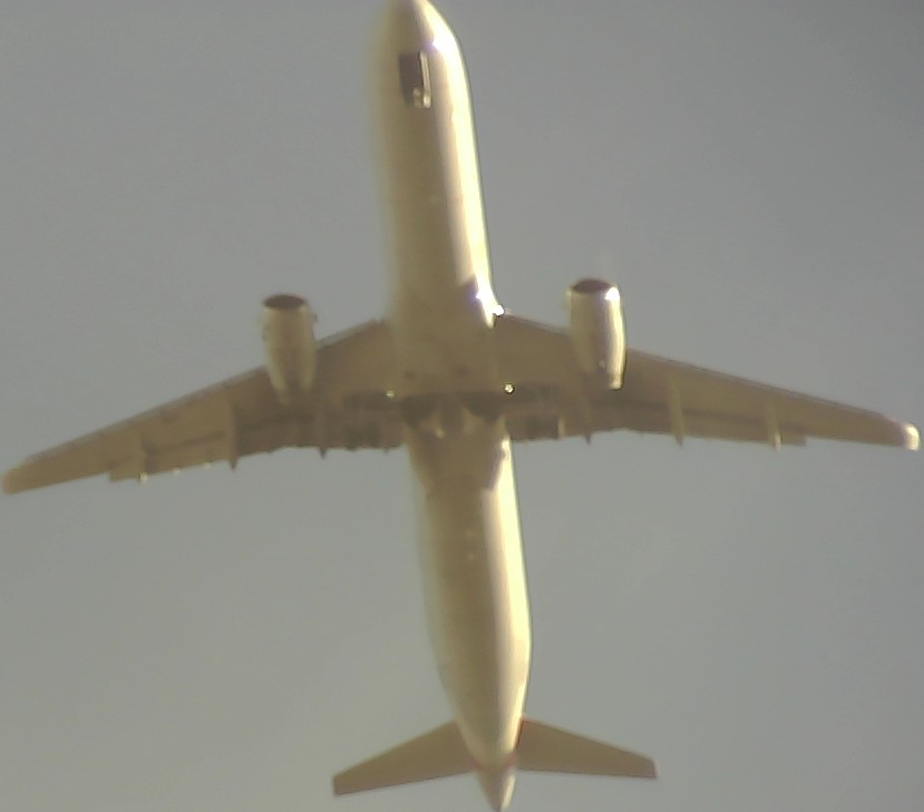 Airplane Picture