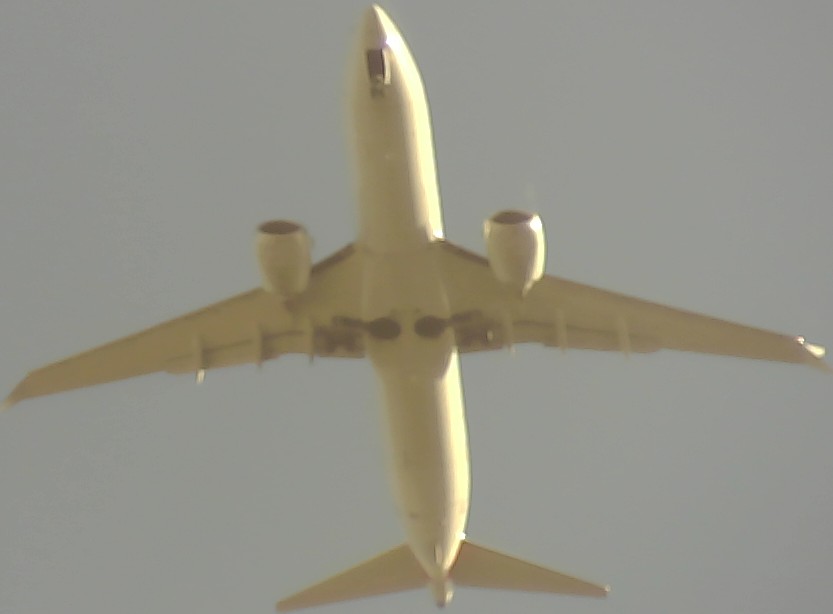 Airplane Picture