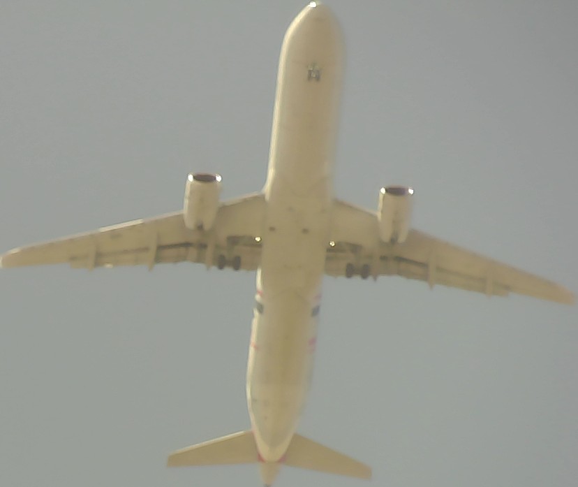 Airplane Picture