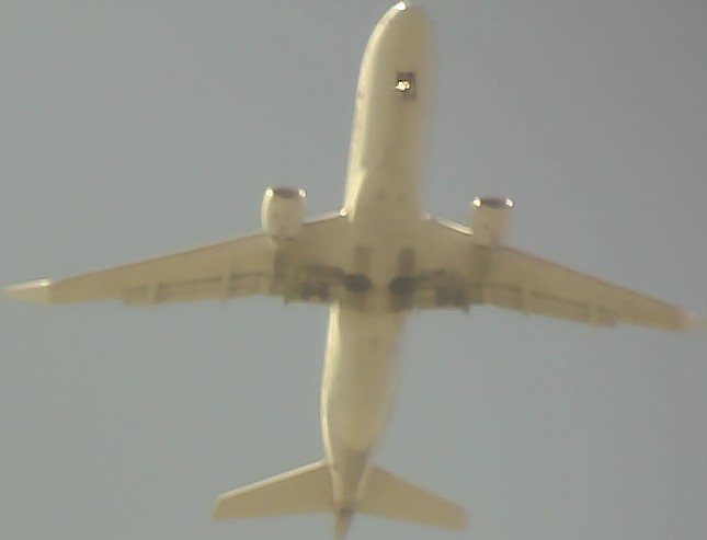 Airplane Picture