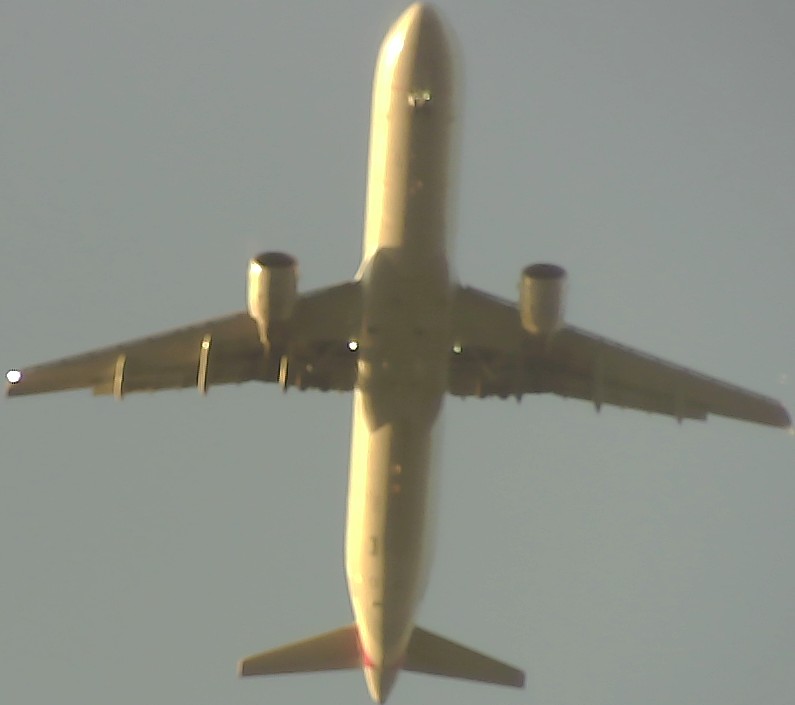 Airplane Picture