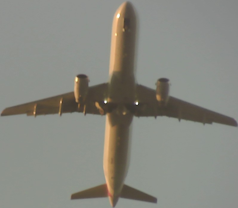 Airplane Picture