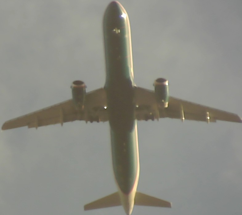 Airplane Picture