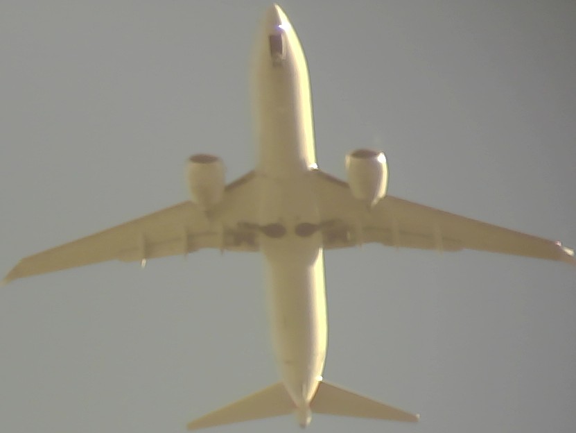 Airplane Picture