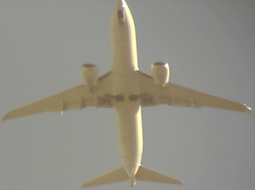 Airplane Picture
