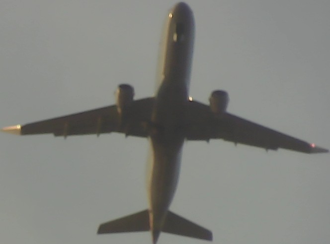 Airplane Picture