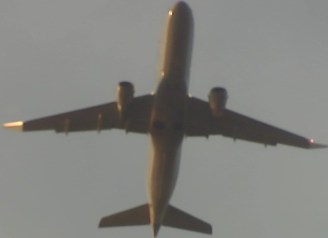 Airplane Picture