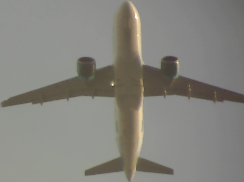 Airplane Picture